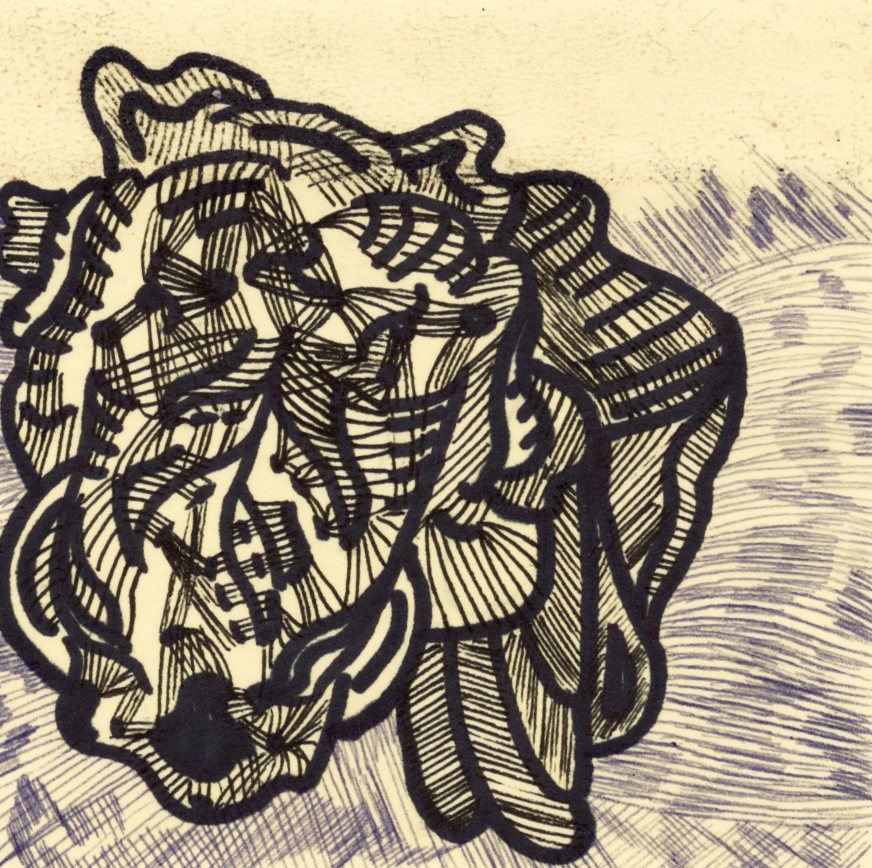 Shell form drawing