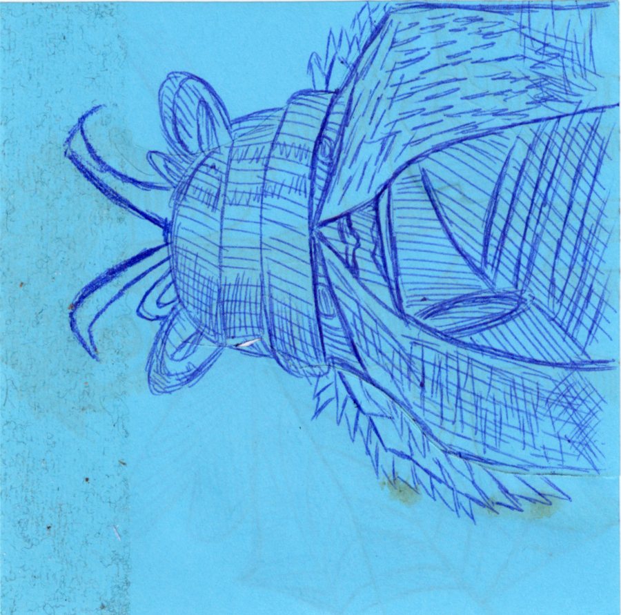Creature mask drawing